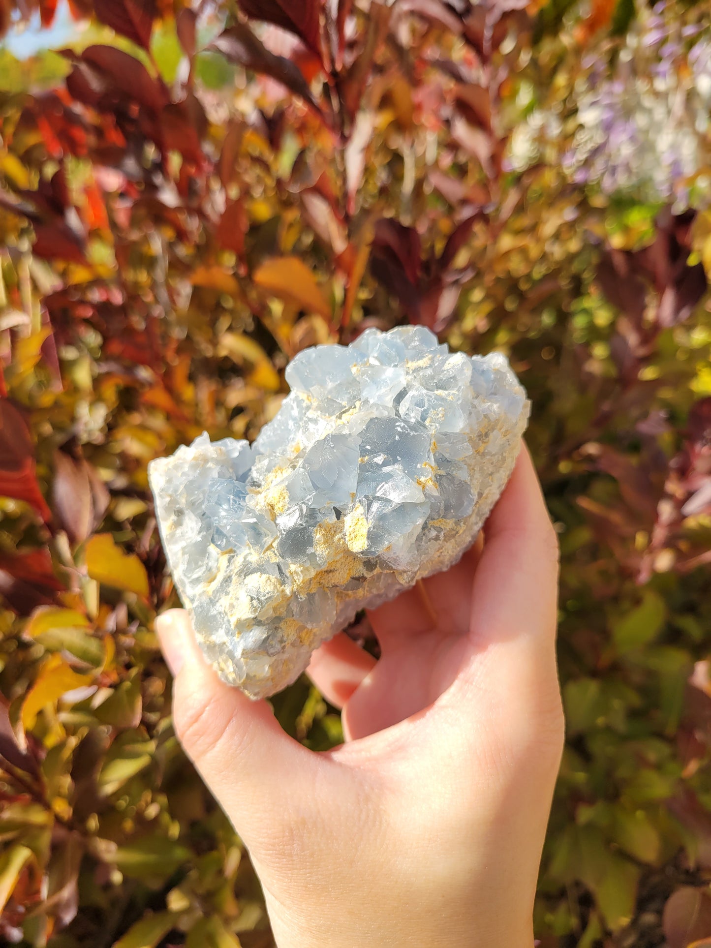 Celestite Celestine Raw Cluster Specimen 69CE