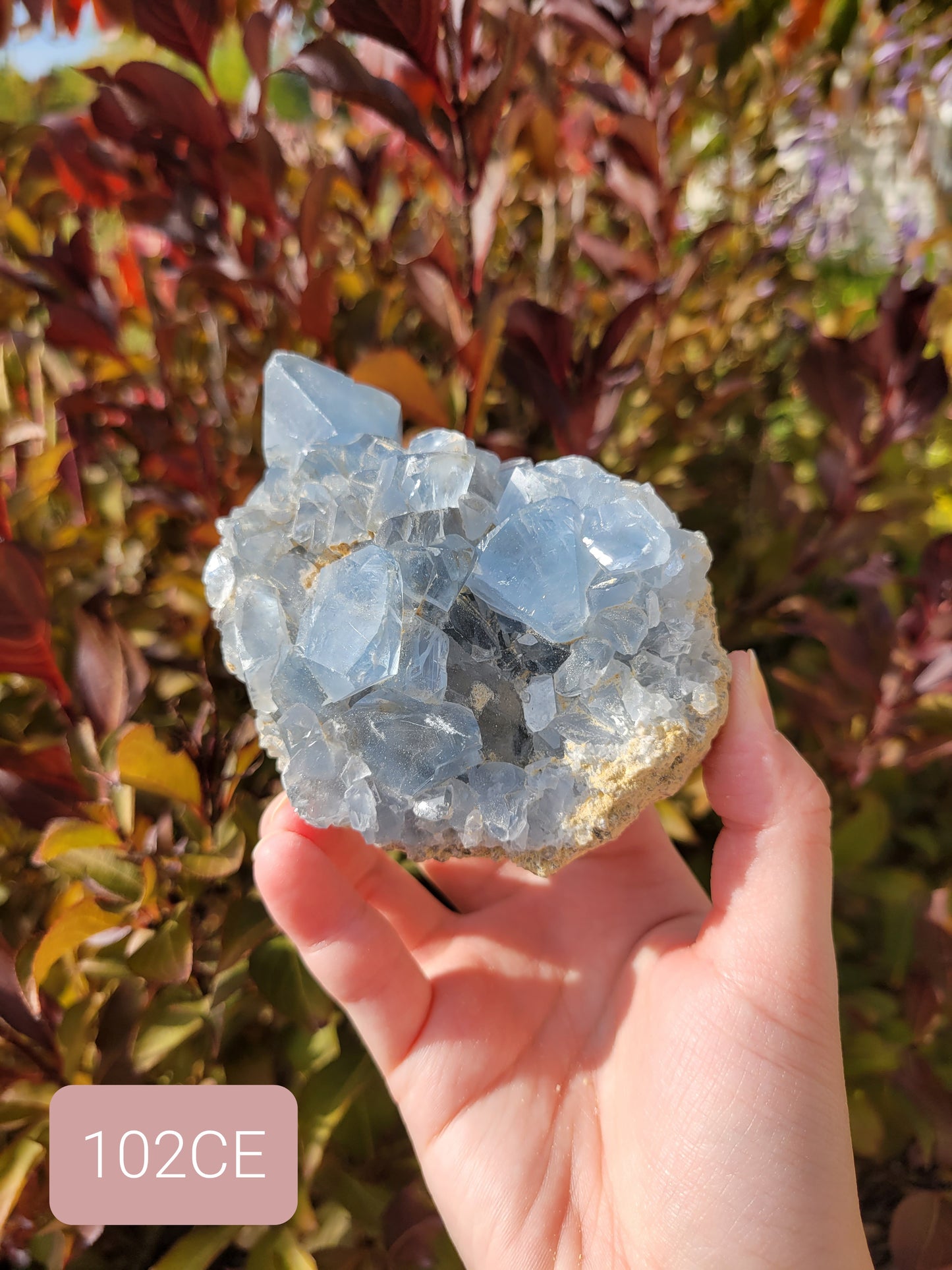 Celestite Celestine Raw Cluster Specimen 102CE