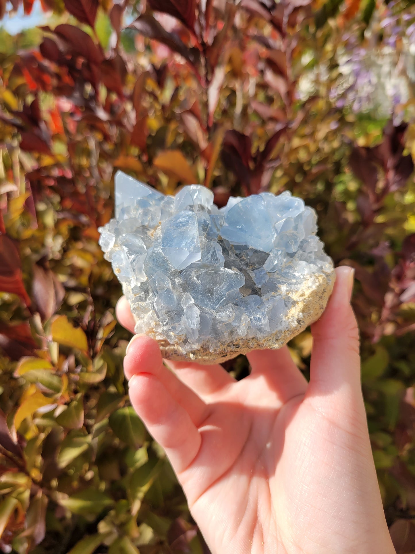 Celestite Celestine Raw Cluster Specimen 102CE