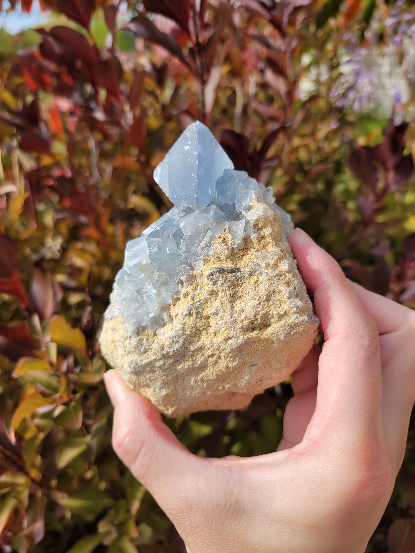 Celestite Celestine Raw Cluster Specimen 102CE