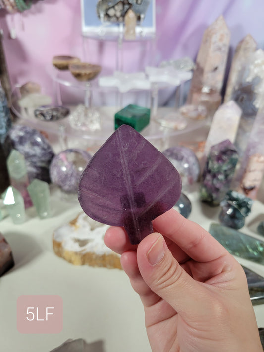 Fluorite Leaves- Many to choose from!